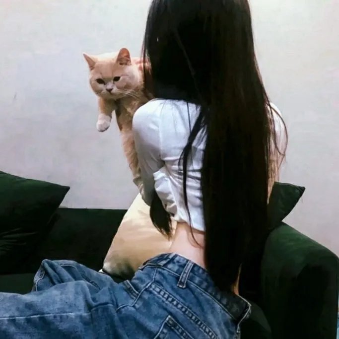 金光松美的四块石板